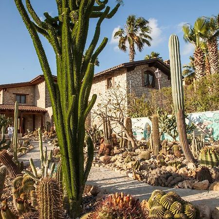 Hostal Garden Cactus Villaggio Mosè Exterior foto